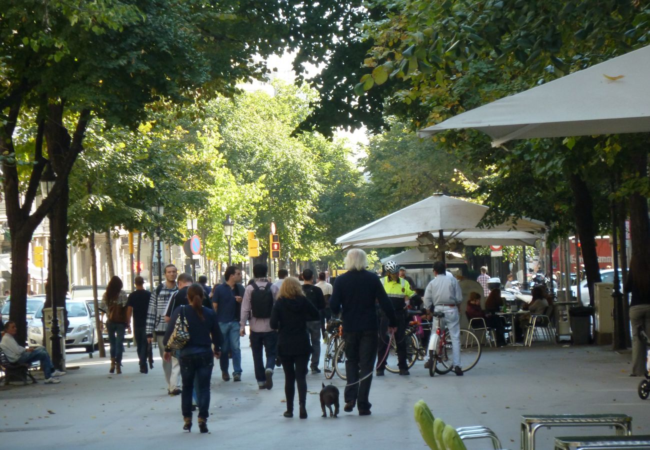 Apartamento em Barcelona - DELUXE, central, boho, views, 3 bedrooms