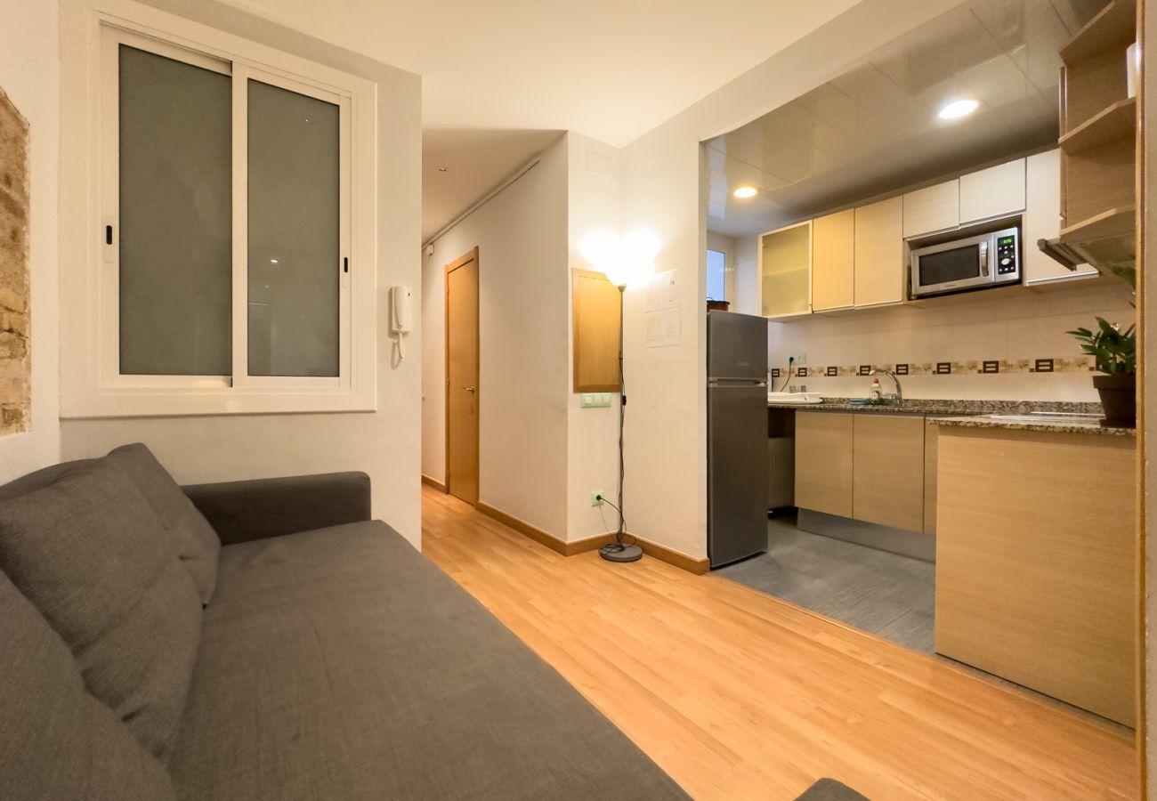 Apartamento em Barcelona - GRACIA comfort, patio place