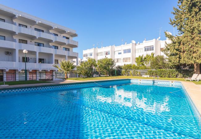 Apartamento em Vilamoura - VILAMOURA COSY 2 WITH POOL by HOMING Apartamento em Vilamoura - VILAMOURA COSY 2 WITH POOL by HOMING