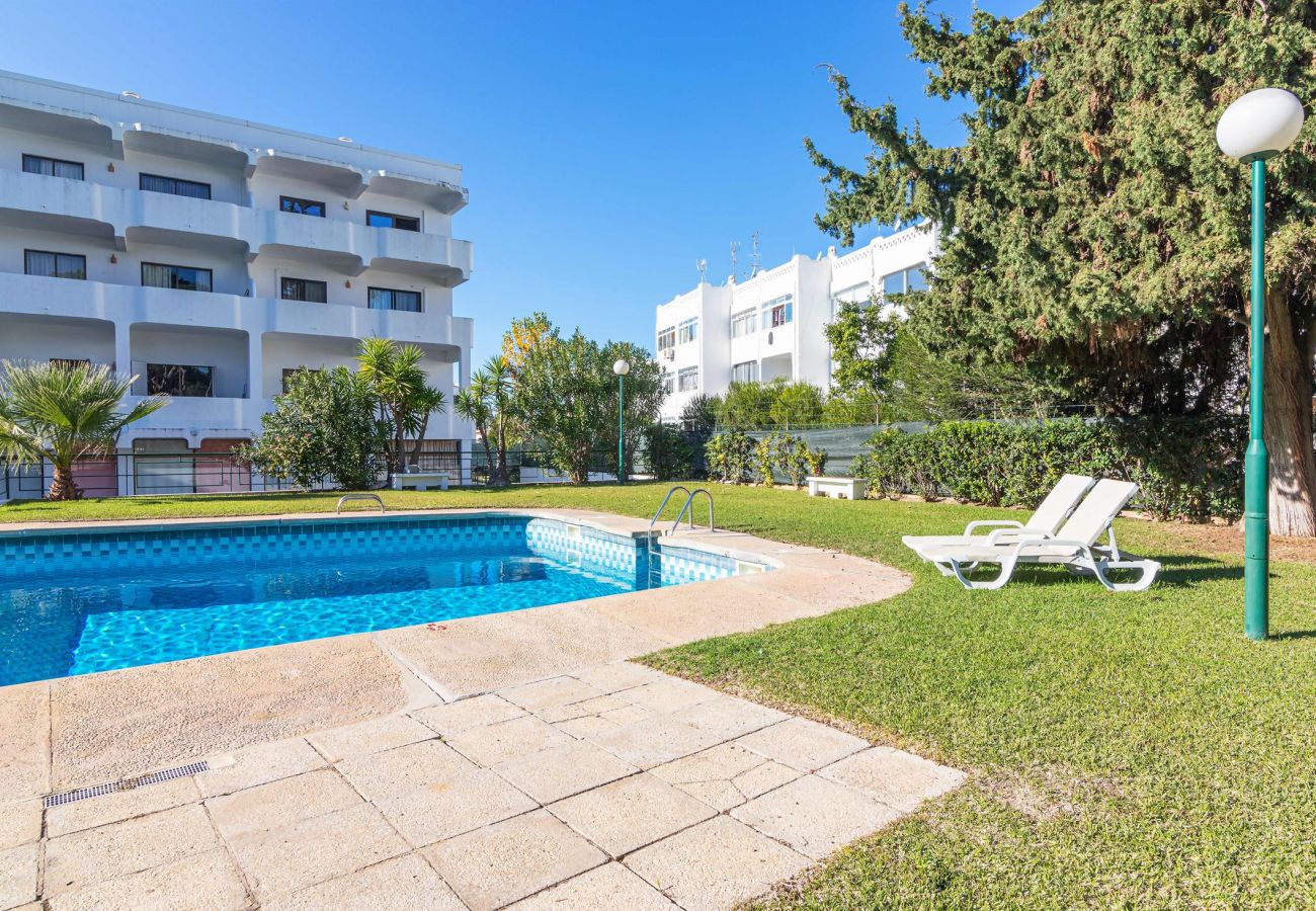 Apartamento em Vilamoura - VILAMOURA COSY 2 WITH POOL by HOMING