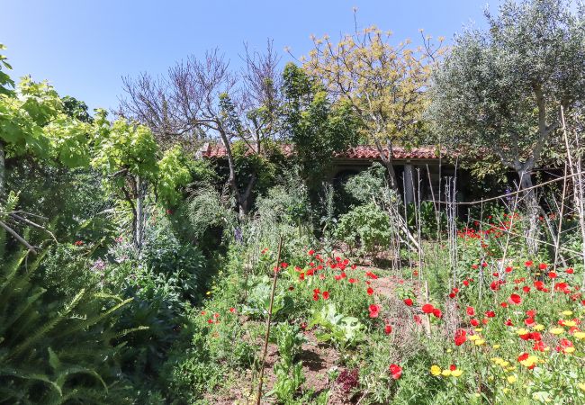 Apartamento em Aldeia de Juzo - GUINCHO GARDEN VILLA II by HOMING Apartamento em Aldeia de Juzo - GUINCHO GARDEN VILLA II by HOMING