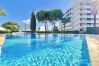 Apartamento em Vilamoura - VILAMOURA TYPICAL 4 WITH POOL by HOMING