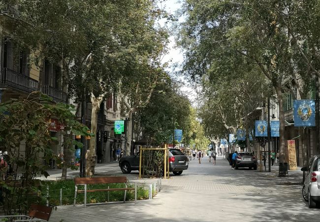 Apartment in Barcelona - DELUXE, central, boho, views, 3 bedrooms Apartment in Barcelona - DELUXE, central, boho, views, 3 bedrooms