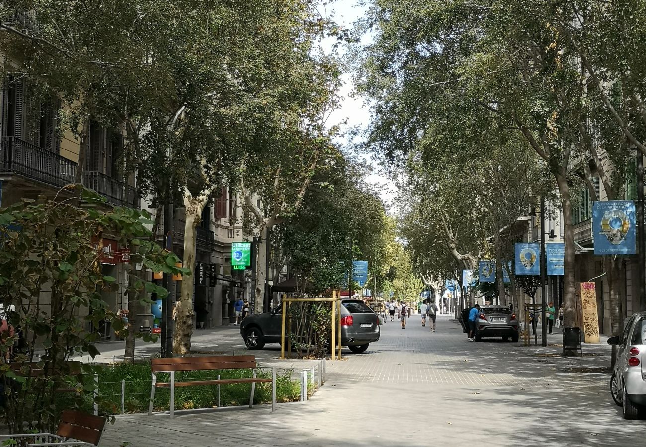 Apartment in Barcelona - DELUXE, central, boho, views, 3 bedrooms