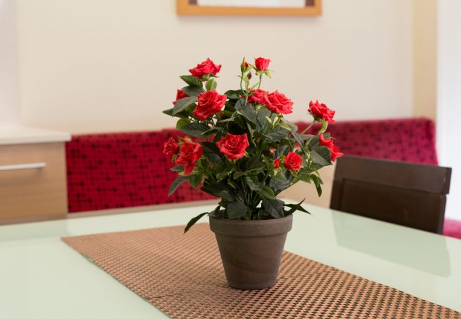 Apartment in Barcelona - MARQUES, modern 4bed/2bath apartment Apartment in Barcelona - MARQUES, modern 4bed/2bath apartment