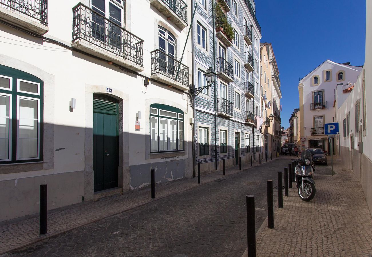 Bright Santa Catarina by Homing