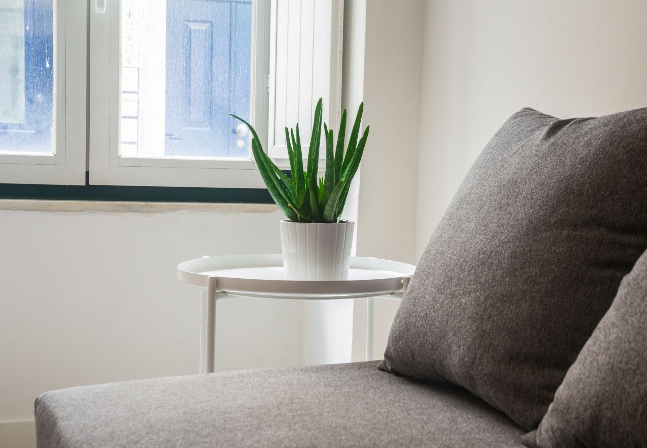 Apartment in Lisbon - SANTOS CLASSIC by HOMING