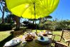 Villa in Vilamoura - VILAMOURA OCEAN VILLA WITH POOL by HOMING Villa in Vilamoura - VILAMOURA OCEAN VILLA WITH POOL by HOMING