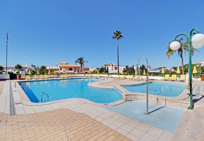 Apartment in Galé - ALBUFEIRA CONCEPT 1 WITH POOL by HOMING