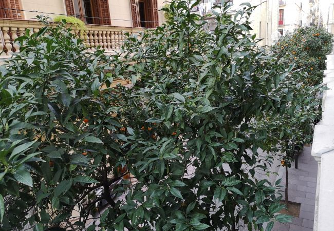 Apartment in Barcelona - GRACIA boho chic, balcony, trees Apartment in Barcelona - GRACIA boho chic, balcony, trees