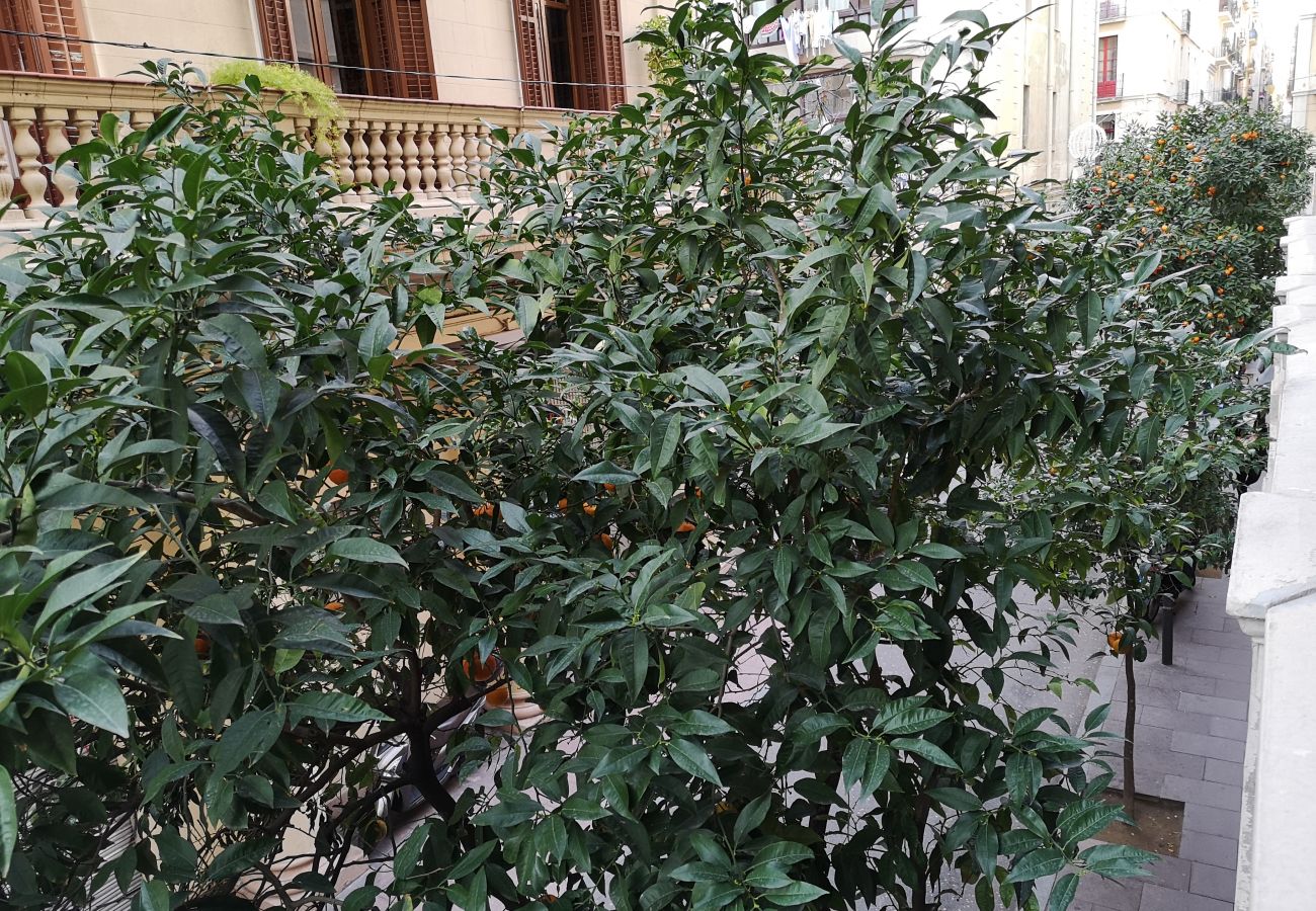 Apartment in Barcelona - GRACIA boho chic, balcony, trees