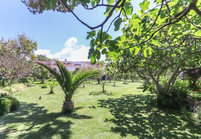 Apartment in Aldeia de Juzo - GUINCHO GARDEN VILLA I by HOMING Apartment in Aldeia de Juzo - GUINCHO GARDEN VILLA I by HOMING