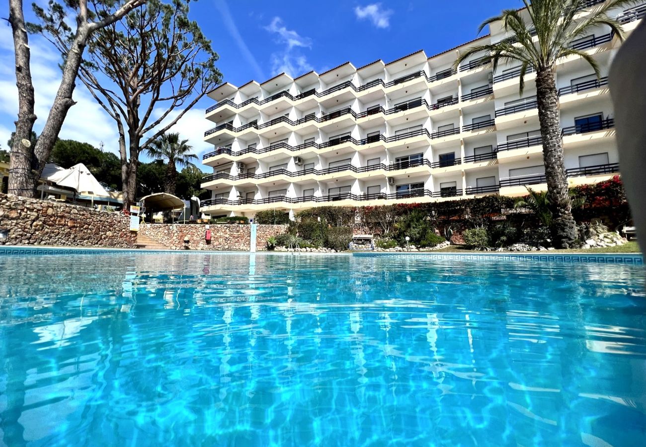 Apartment in Vilamoura - VILAMOURA PALM TREE 1 WITH POOL by HOMING