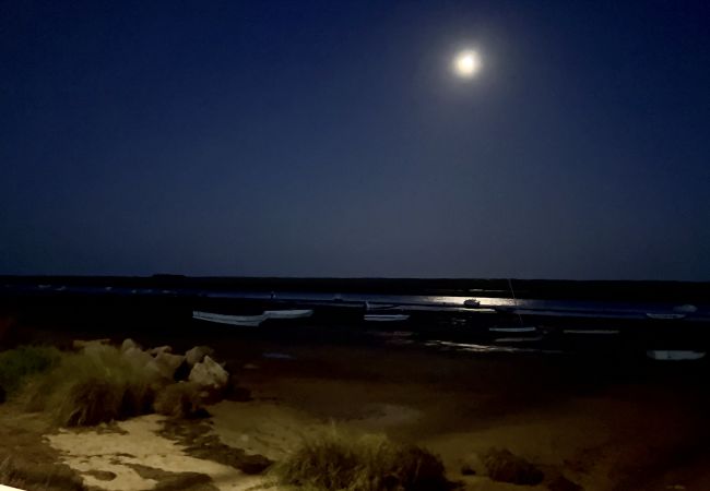 Studio in Tavira - TAVIRA VILA FORMOSA 1 WITH POOL by HOMING Studio in Tavira - TAVIRA VILA FORMOSA 1 WITH POOL by HOMING