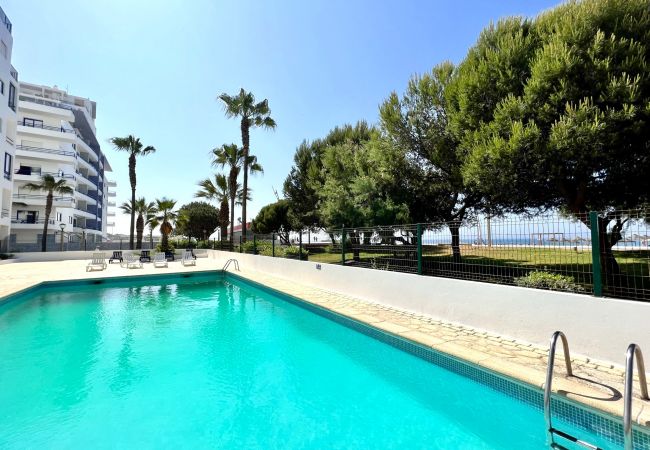 Apartment in Quarteira - QUARTEIRA OCEAN BREEZE 1 WITH POOL by HOMING Apartment in Quarteira - QUARTEIRA OCEAN BREEZE 1 WITH POOL by HOMING