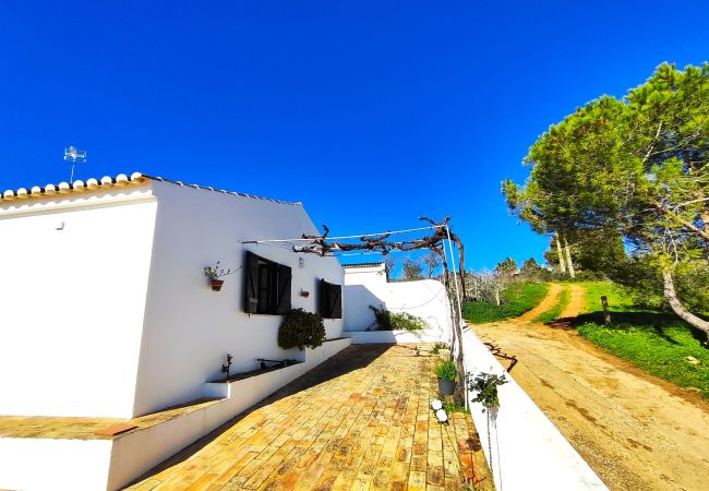 Apartment in Lagos - LAGOS HIGH POINT NATURE 2 by HOMING Apartment in Lagos - LAGOS HIGH POINT NATURE 2 by HOMING