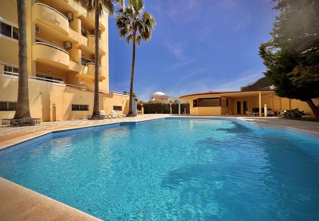 Apartment in Albufeira - ALBUFEIRA MARINA SOL WITH POOL by HOMING Apartment in Albufeira - ALBUFEIRA MARINA SOL WITH POOL by HOMING