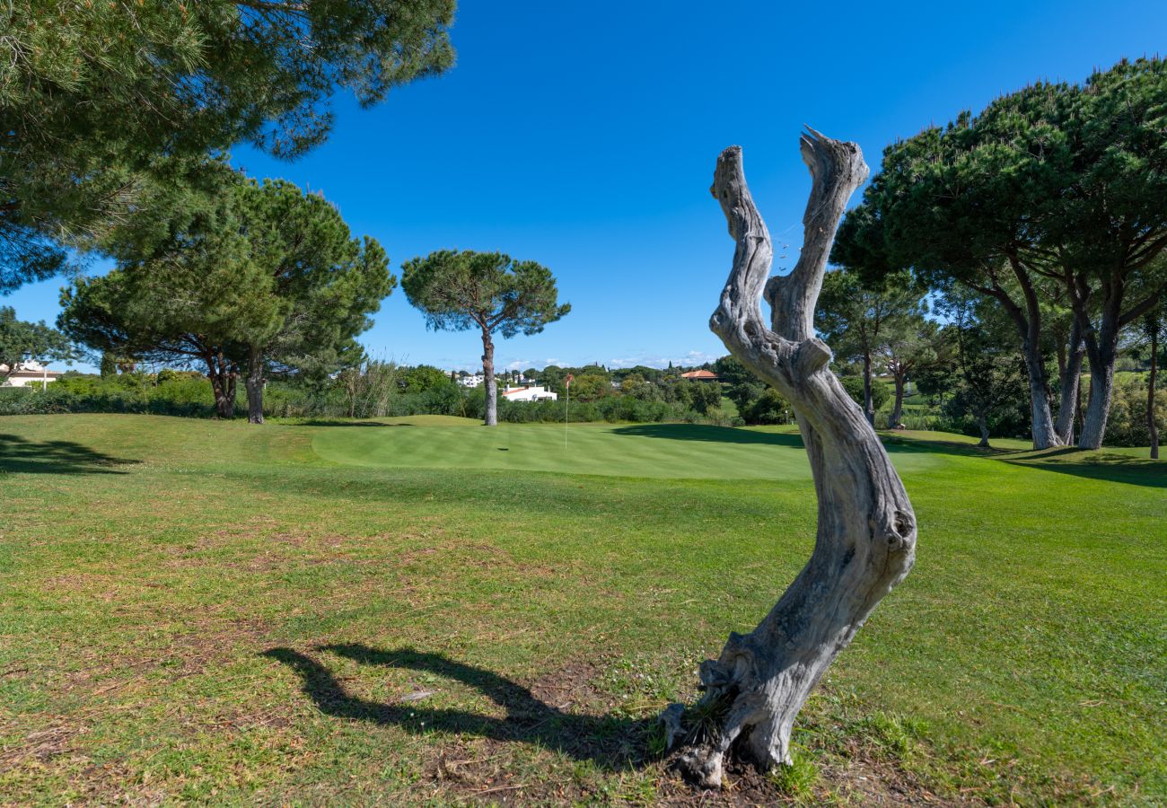 Apartment in Albufeira - ALBUFEIRA BALAIA GOLF VILLAGE 5 WITH POOL by HOMIN