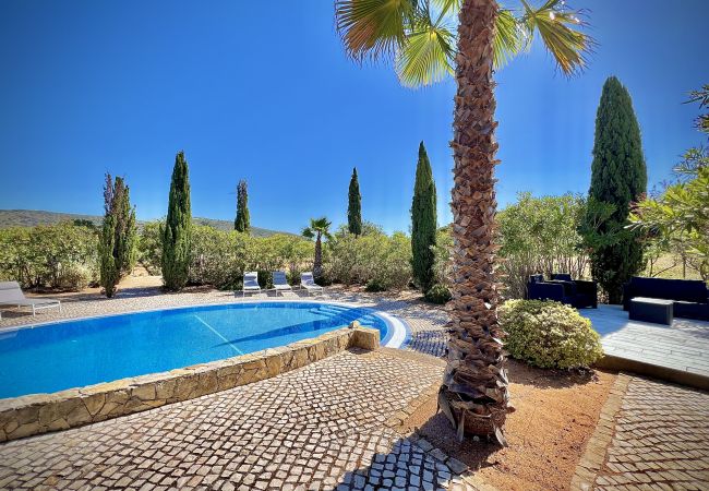 Villa in Quarteira - QUARTEIRA PREMIUM VILLA WITH POOL by HOMING Villa in Quarteira - QUARTEIRA PREMIUM VILLA WITH POOL by HOMING
