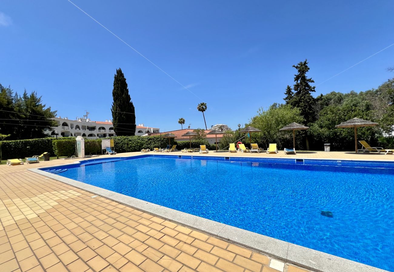 Apartment in Albufeira - ALBUFEIRA TROPICAL VIEW WITH POOL by HOMING