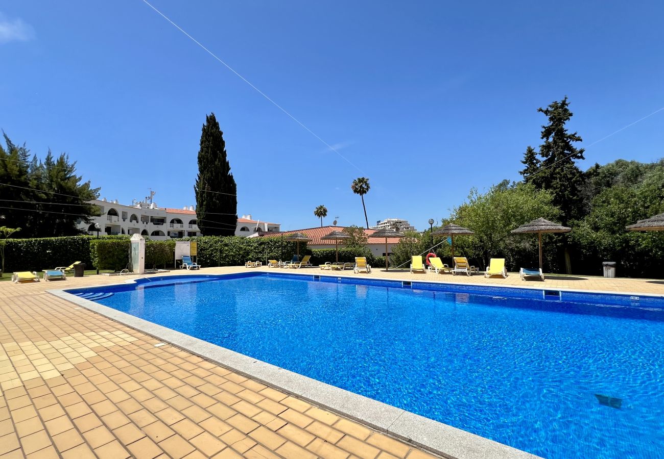 Apartment in Albufeira - ALBUFEIRA TROPICAL VIEW WITH POOL by HOMING