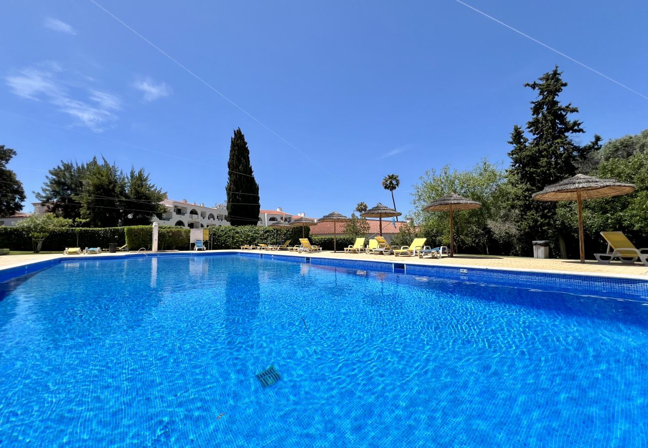 Apartment in Albufeira - ALBUFEIRA TROPICAL VIEW WITH POOL by HOMING
