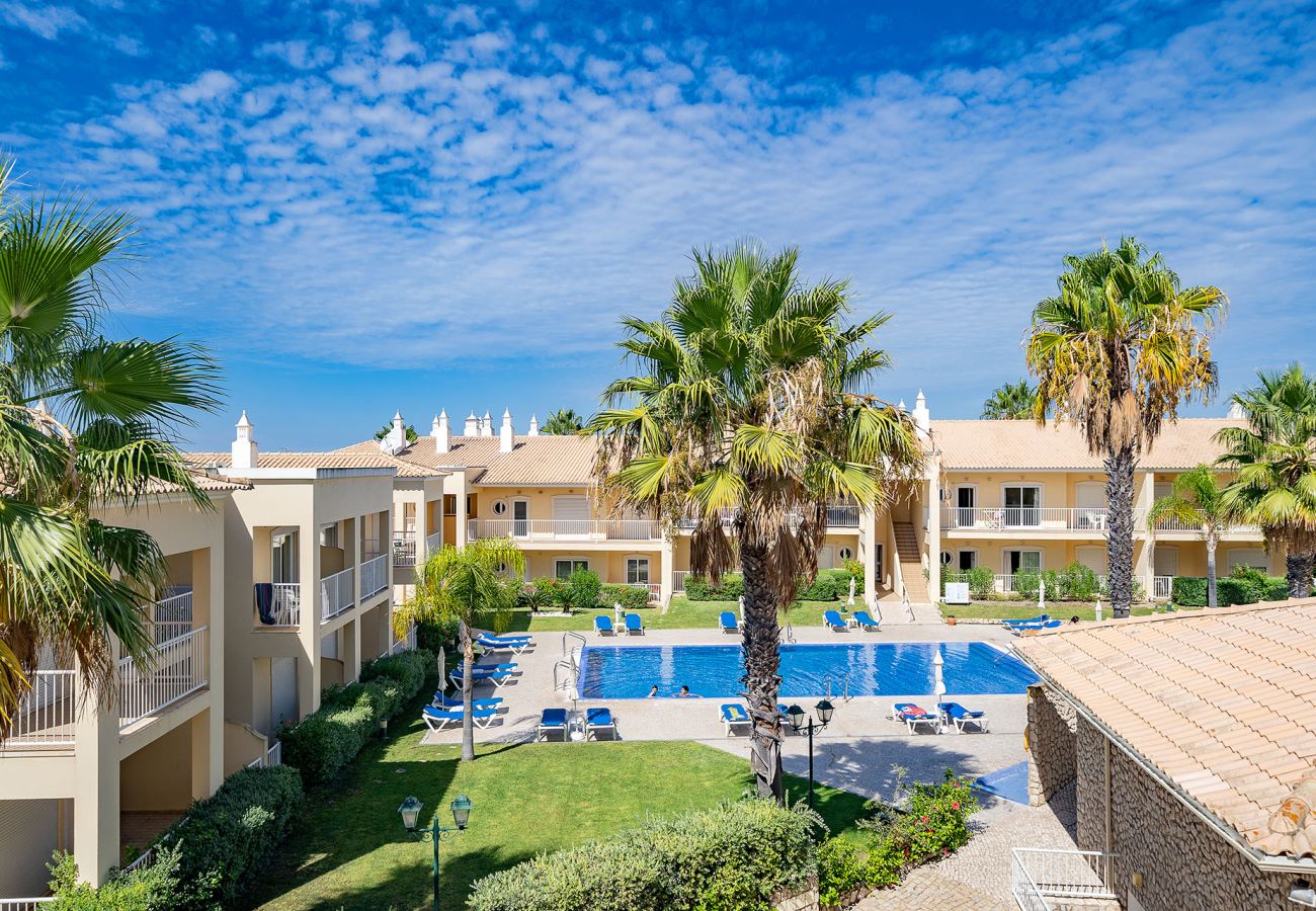 Apartment in Albufeira - ALBUFEIRA PALM TREE WITH POOL by HOMING