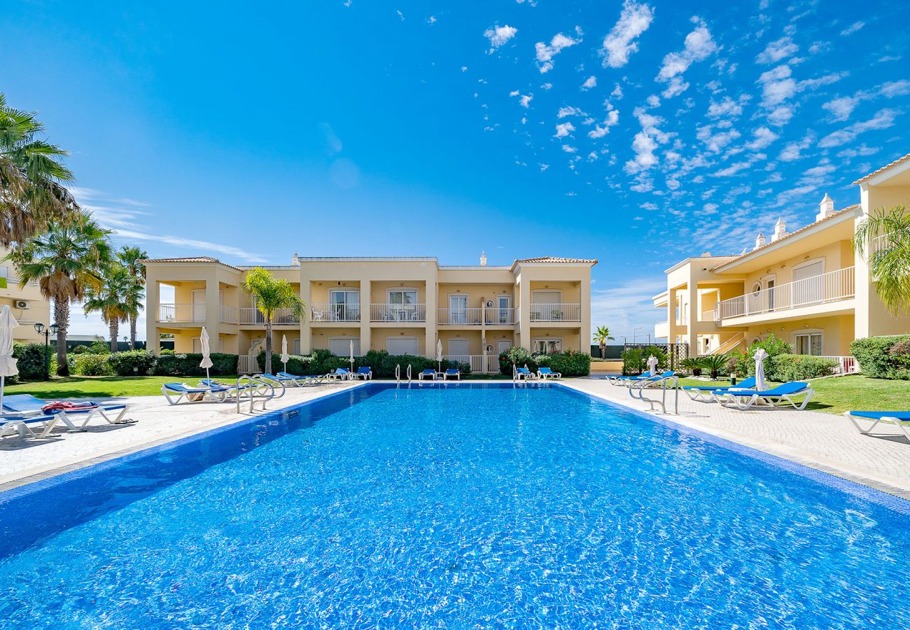 Apartment in Albufeira - ALBUFEIRA PALM TREE WITH POOL by HOMING
