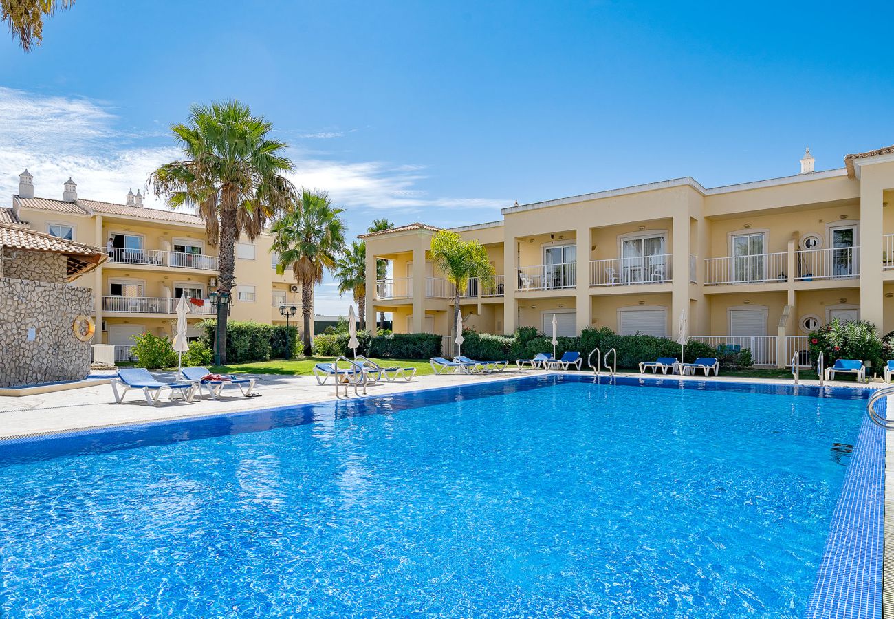 Apartment in Albufeira - ALBUFEIRA PALM TREE WITH POOL by HOMING