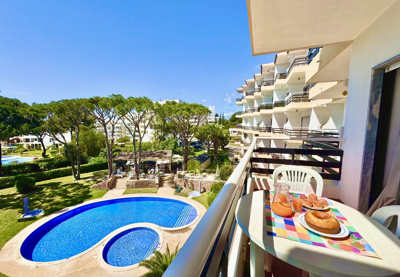 Apartment in Vilamoura - VILAMOURA PALM TREE 2 WITH POOL by HOMING