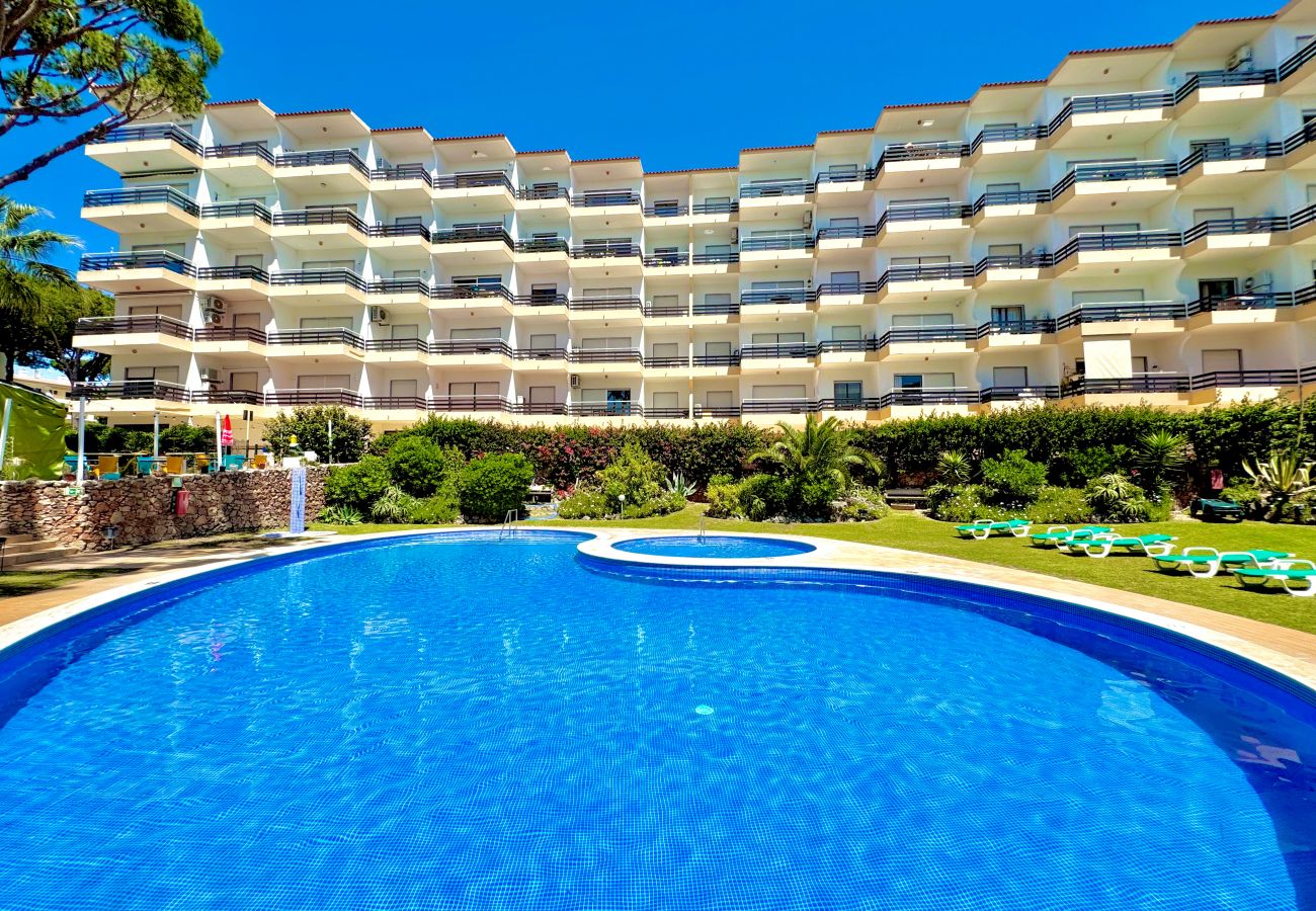 Apartment in Vilamoura - VILAMOURA PALM TREE 2 WITH POOL by HOMING