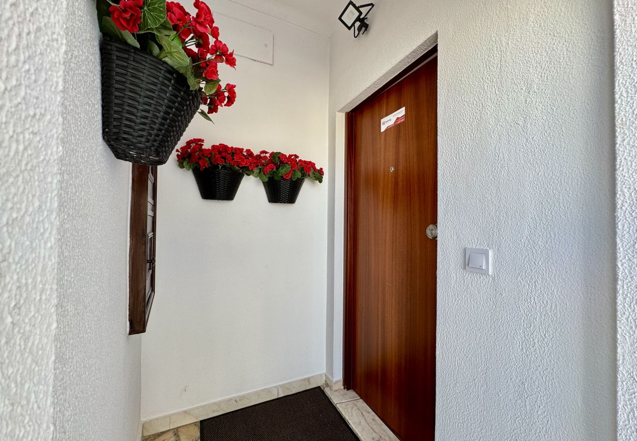 Apartment in Albufeira - ALBUFEIRA SHINE by HOMING