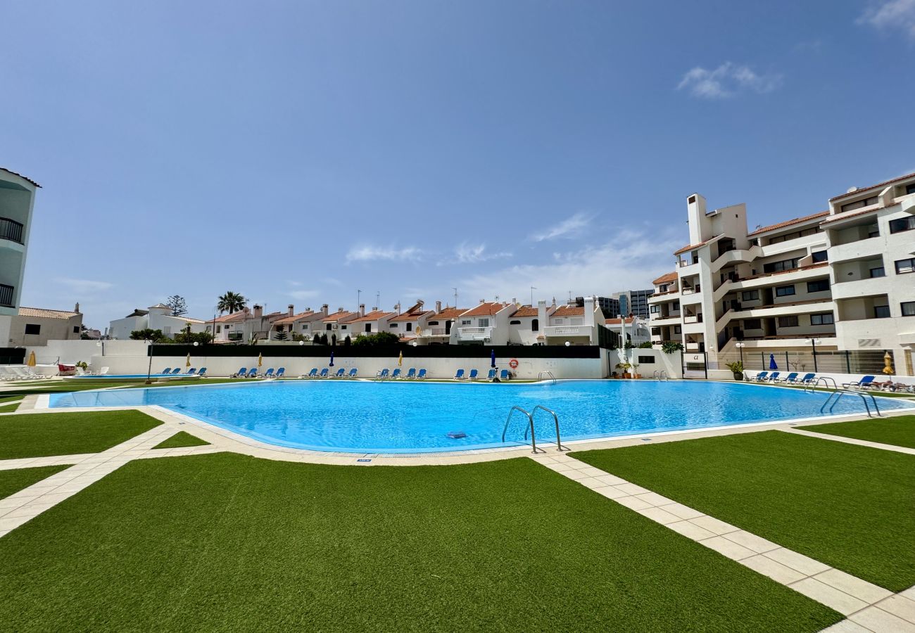 Studio in Albufeira - ALBUFEIRA SKYLIGHT 3 WITH POOL by HOMING