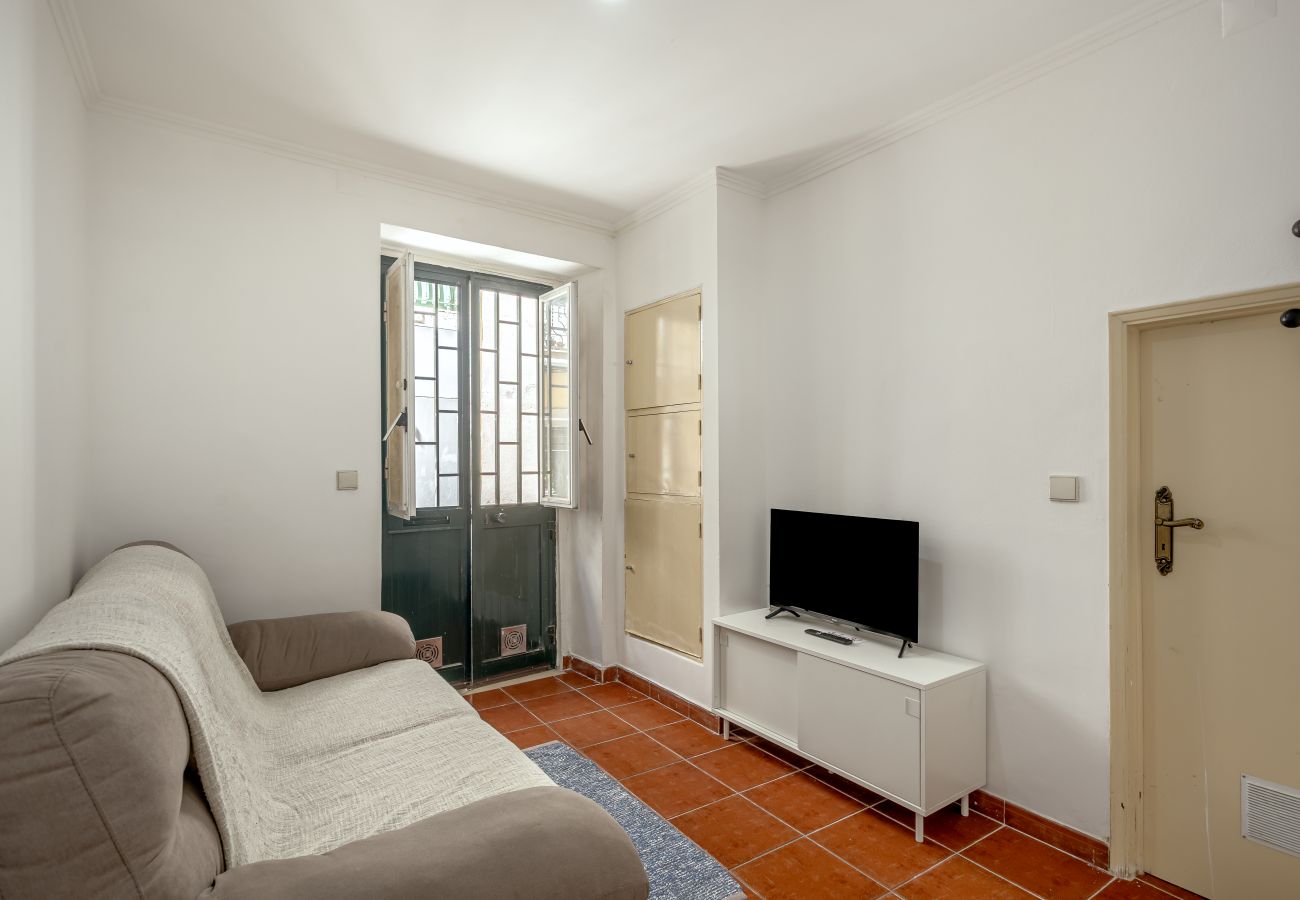 Apartment in Lisbon - SANTANA COSY by Homing
