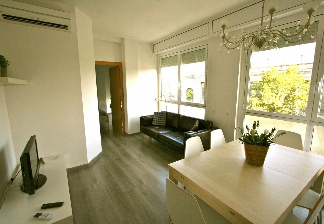 Apartamento en Barcelona - PLAZA ESPAÑA DELUXE, light, views.