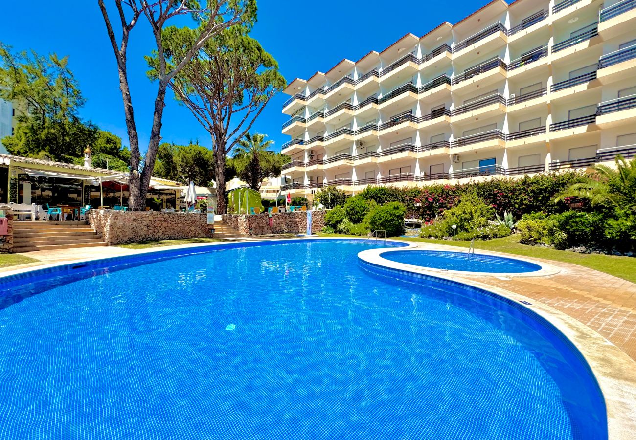 Apartamento en Vilamoura - VILAMOURA PALM TREE 1 WITH POOL by HOMING