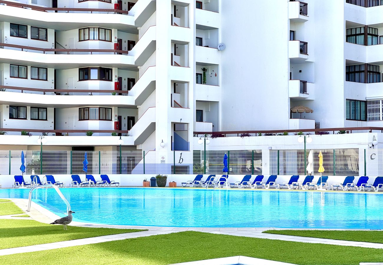 Apartamento en Albufeira - ALBUFEIRA SKYLIGHT 1 WITH POOL by HOMING