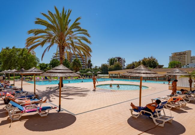 Apartamento en Portimão - PRAIA DA ROCHA OCEAN VIEW WITH POOL by HOMING Apartamento en Portimão - PRAIA DA ROCHA OCEAN VIEW WITH POOL by HOMING