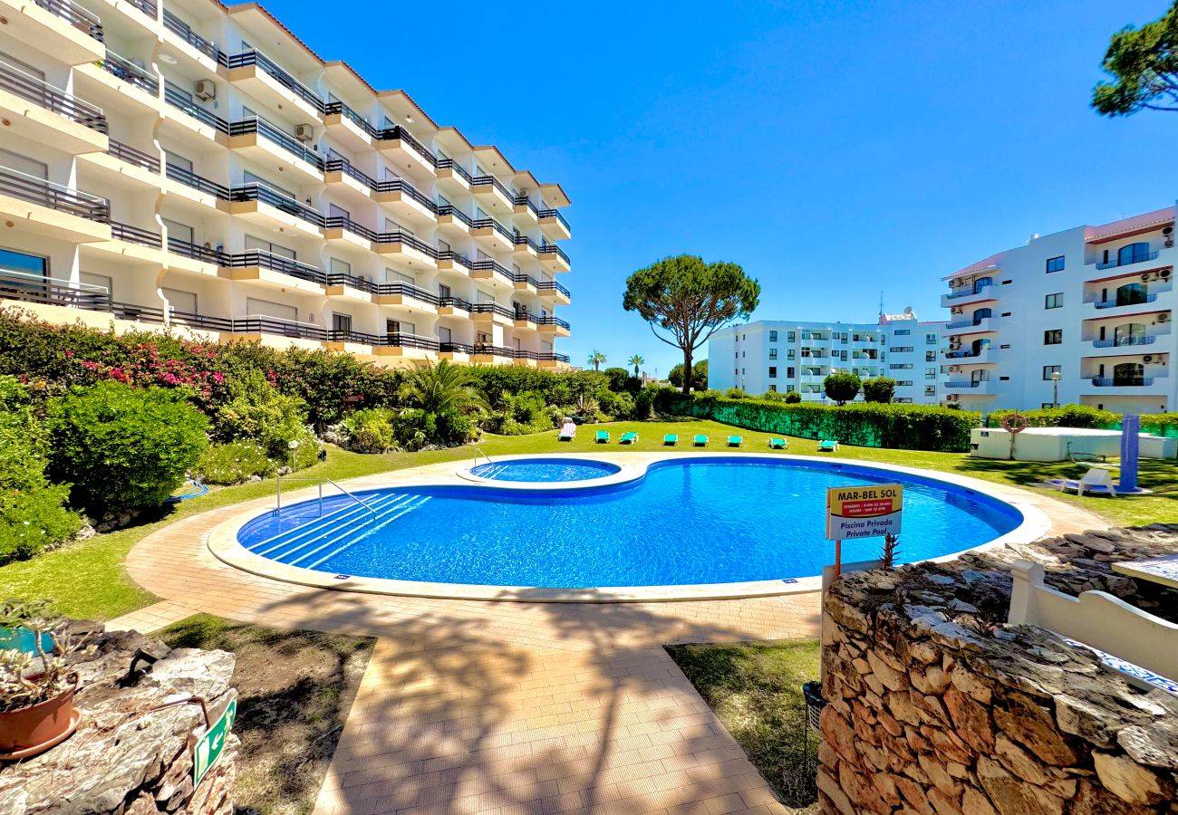 Apartamento en Vilamoura - VILAMOURA PALM TREE 2 WITH POOL by HOMING