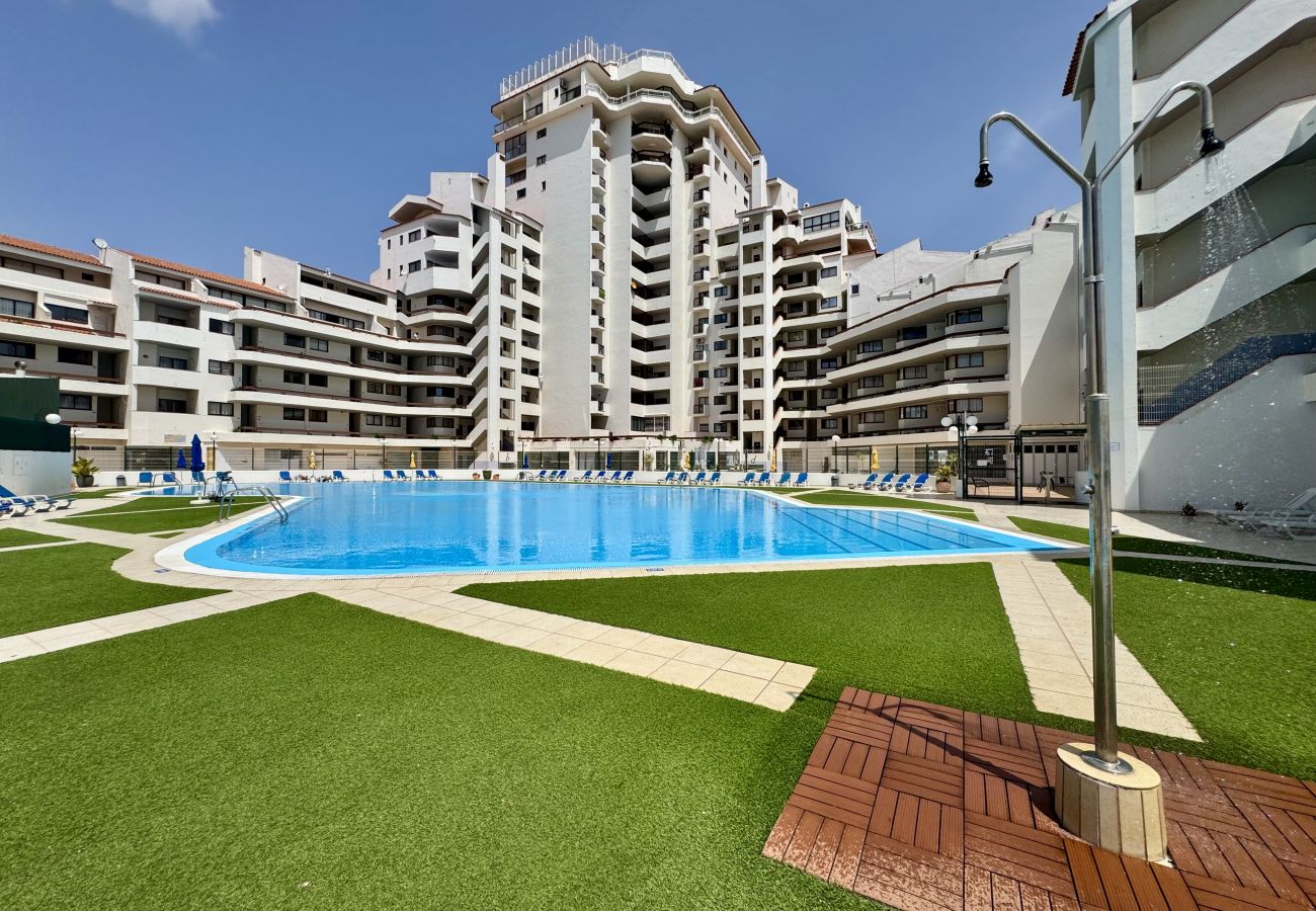 Studio à Albufeira - ALBUFEIRA SKYLIGHT 3 WITH POOL by HOMING